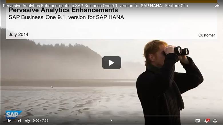 Pervasive Analytics Erweiterungen in SAP Business One 9.1, Version für SAP HANA