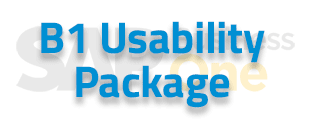 SAP Business One B1 Usability Package 