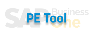 SAP B1 Lösung PT-Tool für Steuerabschlüsse in Betriebsstätten