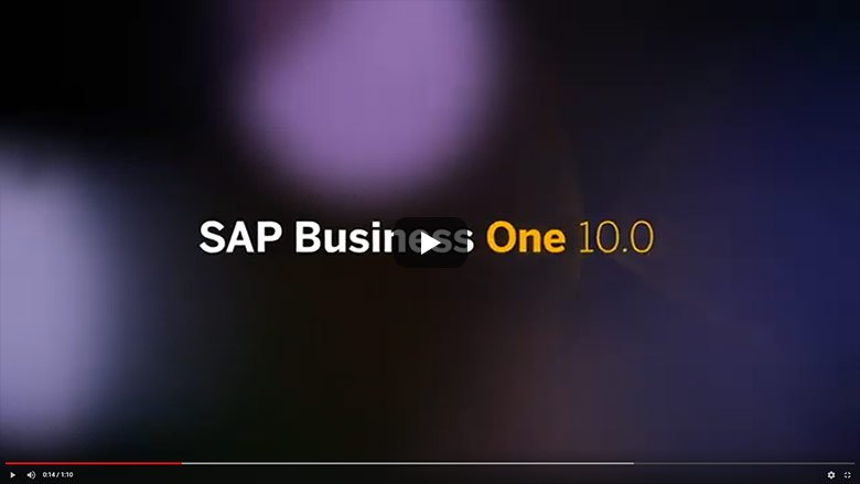 SAP Business One Version 10.0 Teaser